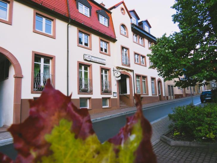Eckartsberga Hotel Am Markt מראה חיצוני תמונה