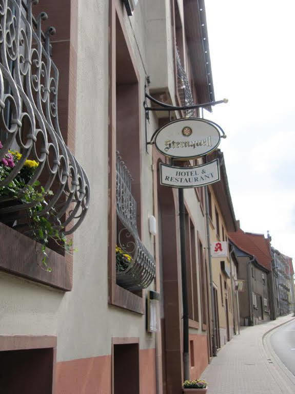 Eckartsberga Hotel Am Markt מראה חיצוני תמונה
